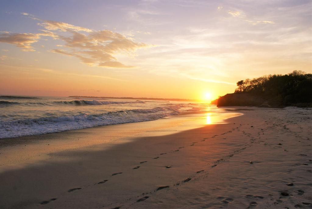 Punto Mita Eco Surf Suites & Cafe Punta Mita Eksteriør billede